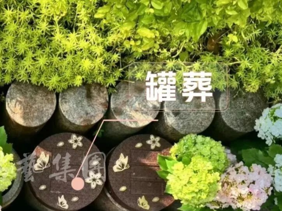 人生就是搏(中国集团)官方网站