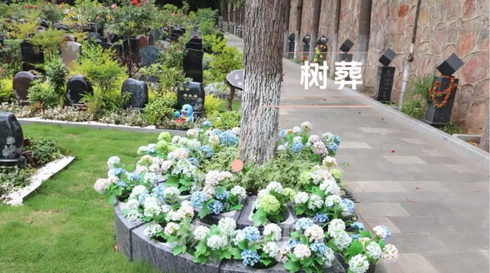 人生就是搏(中国集团)官方网站