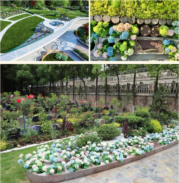 人生就是搏(中国集团)官方网站