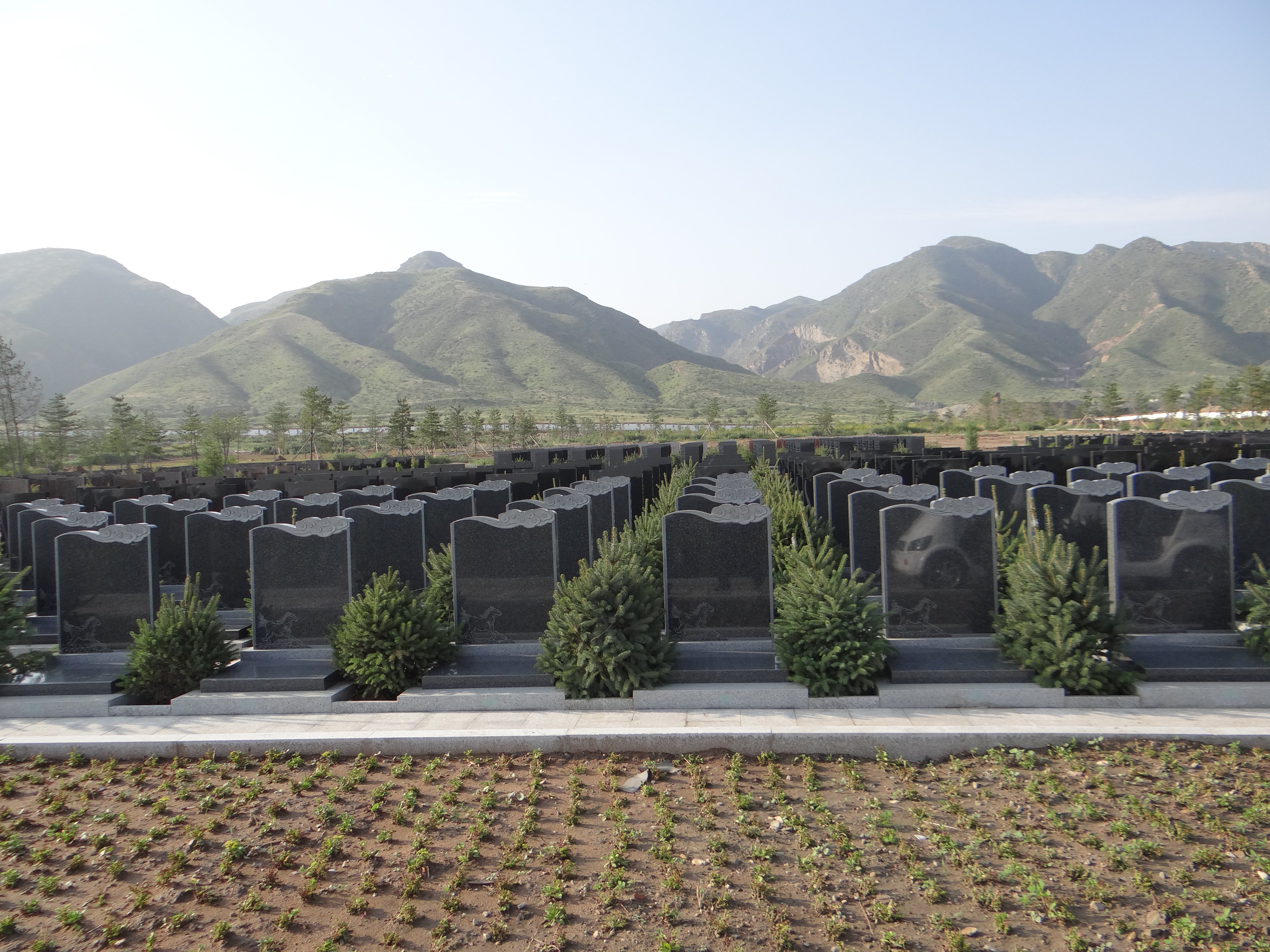 人生就是搏(中国集团)官方网站