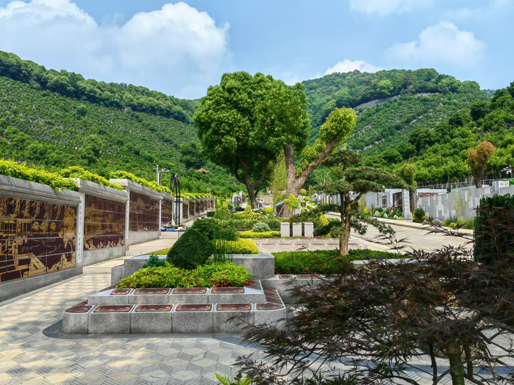 引领绿色生态新民俗，，，共筑生命协调家园