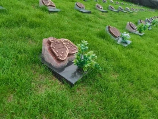 人生就是搏(中国集团)官方网站