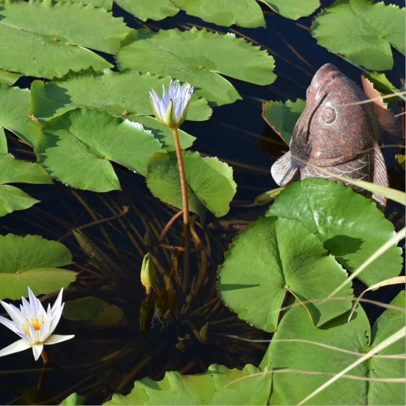 人生就是搏(中国集团)官方网站