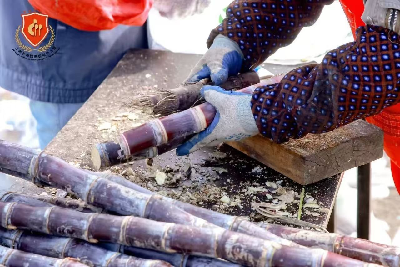 人生就是搏(中国集团)官方网站