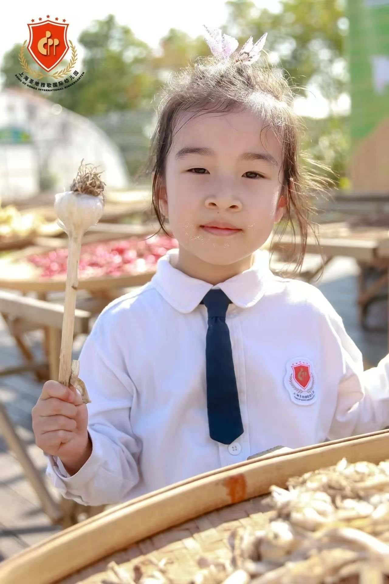 人生就是搏(中国集团)官方网站