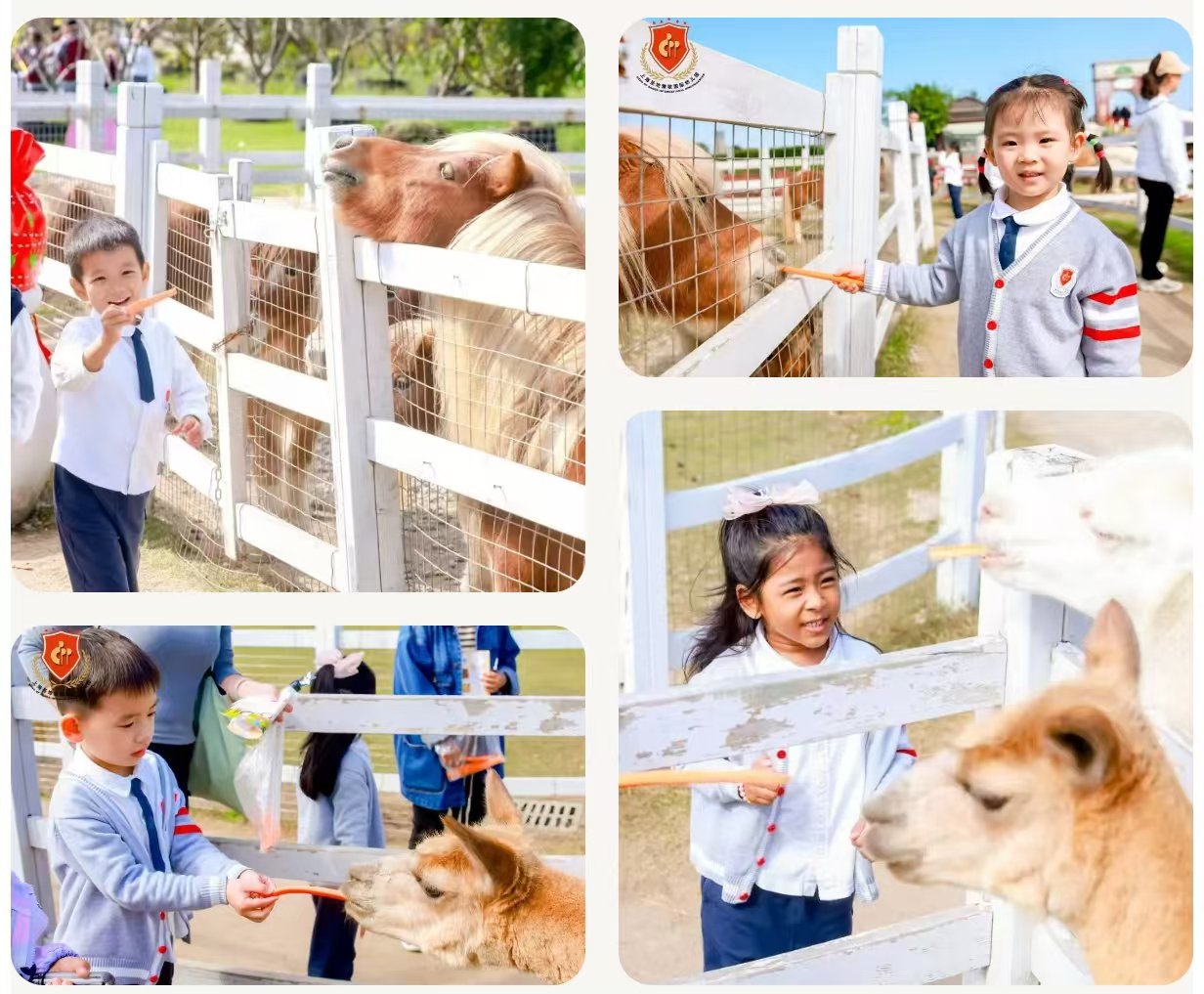 人生就是搏(中国集团)官方网站