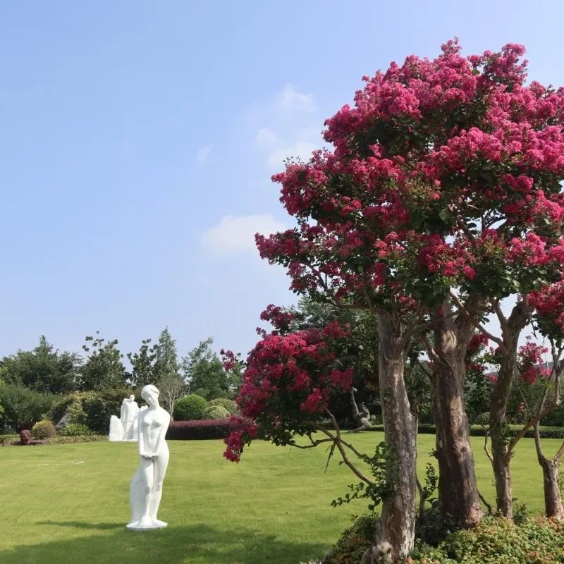 人生就是搏(中国集团)官方网站