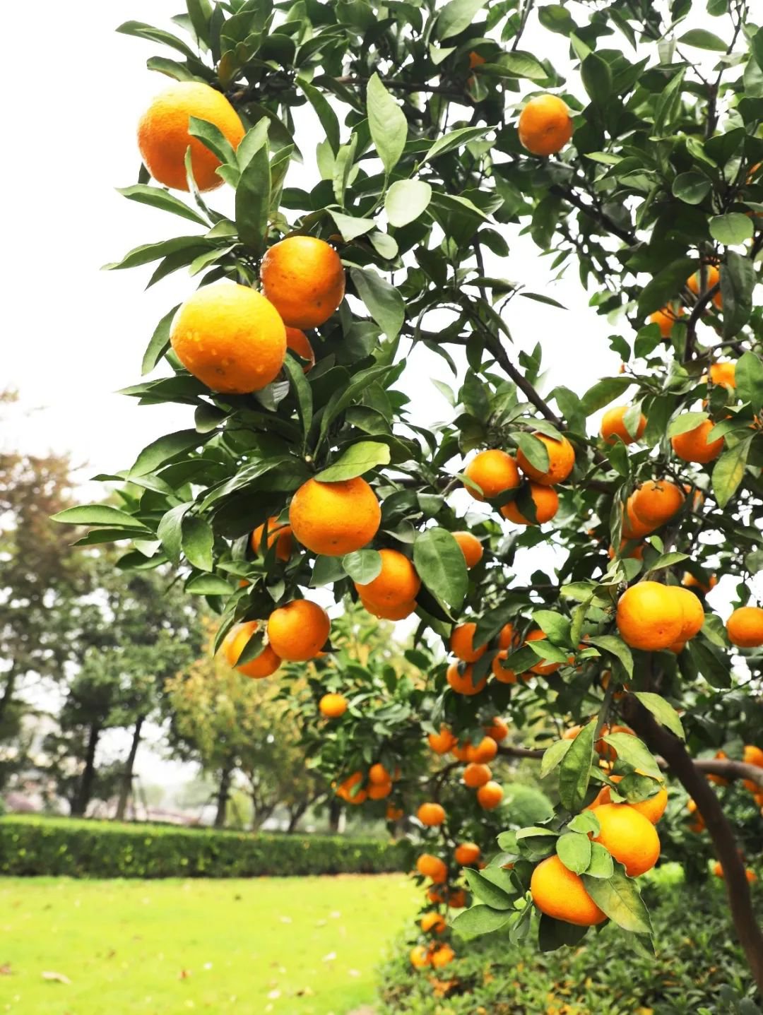 人生就是搏(中国集团)官方网站