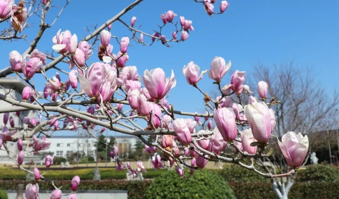 人生就是搏(中国集团)官方网站