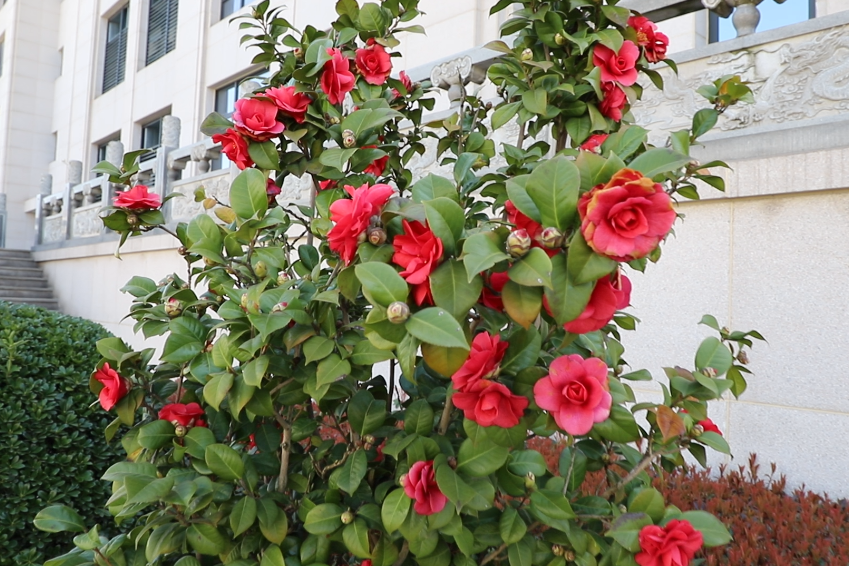 人生就是搏(中国集团)官方网站