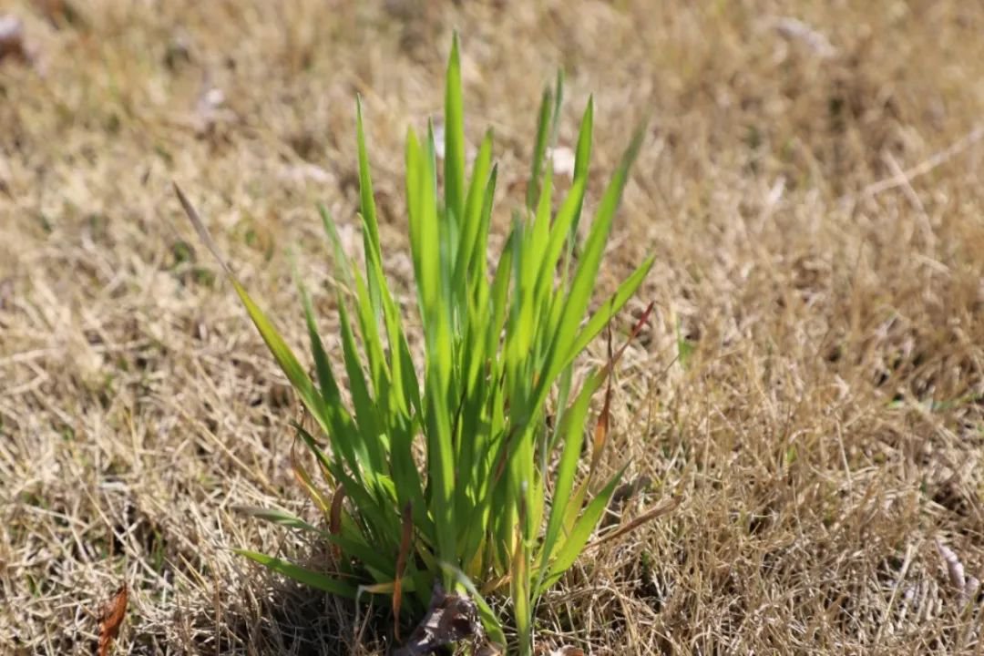 人生就是搏(中国集团)官方网站