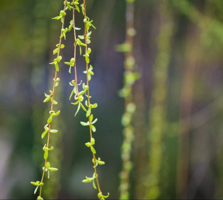 人生就是搏(中国集团)官方网站