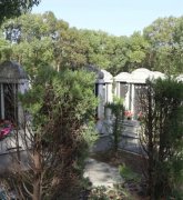 绿色生态葬：：：文明赓续的绿色选择