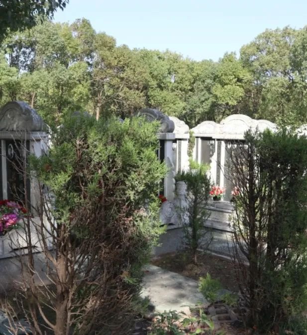 人生就是搏(中国集团)官方网站