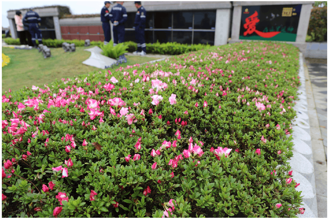 人生就是搏(中国集团)官方网站