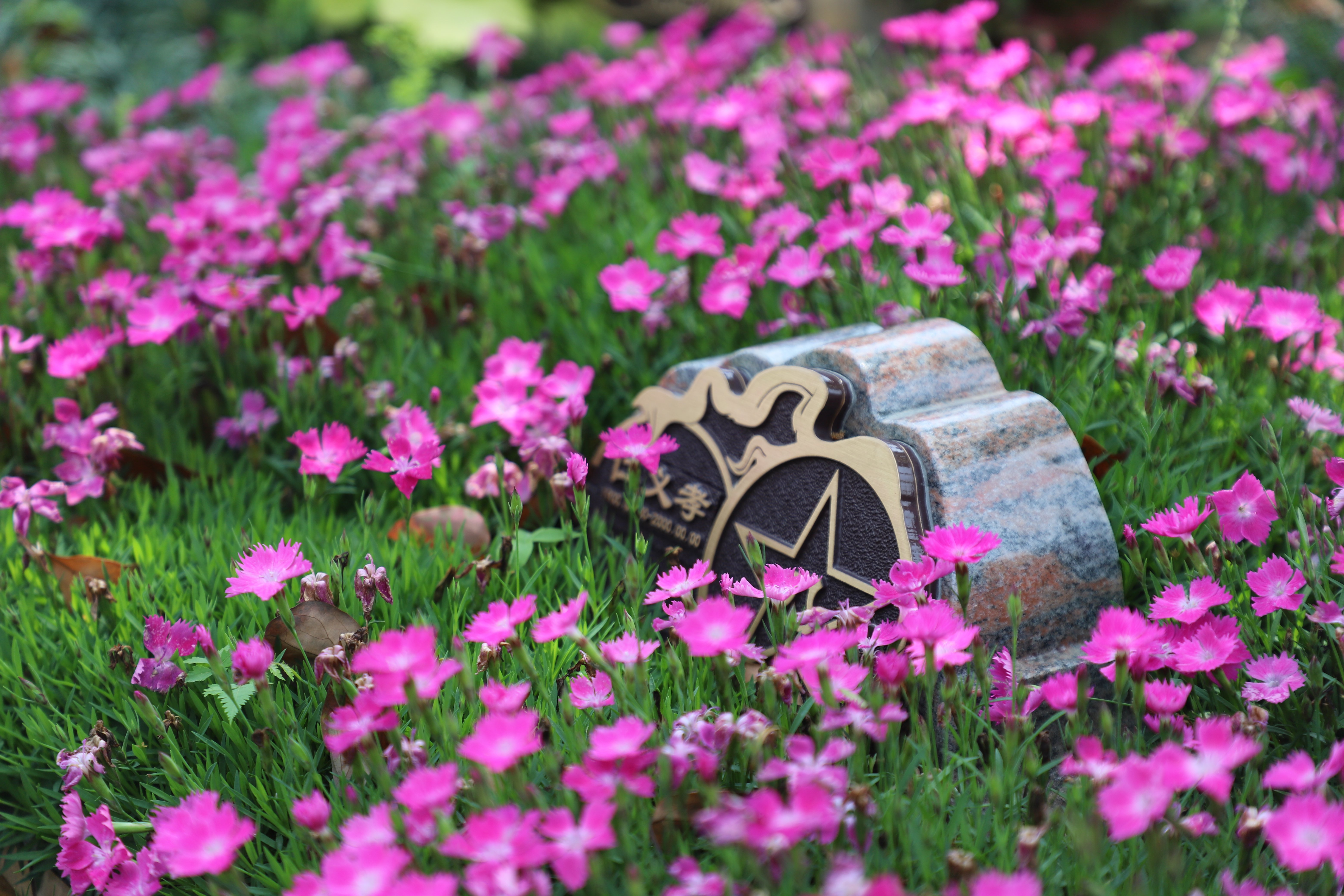 人生就是搏(中国集团)官方网站