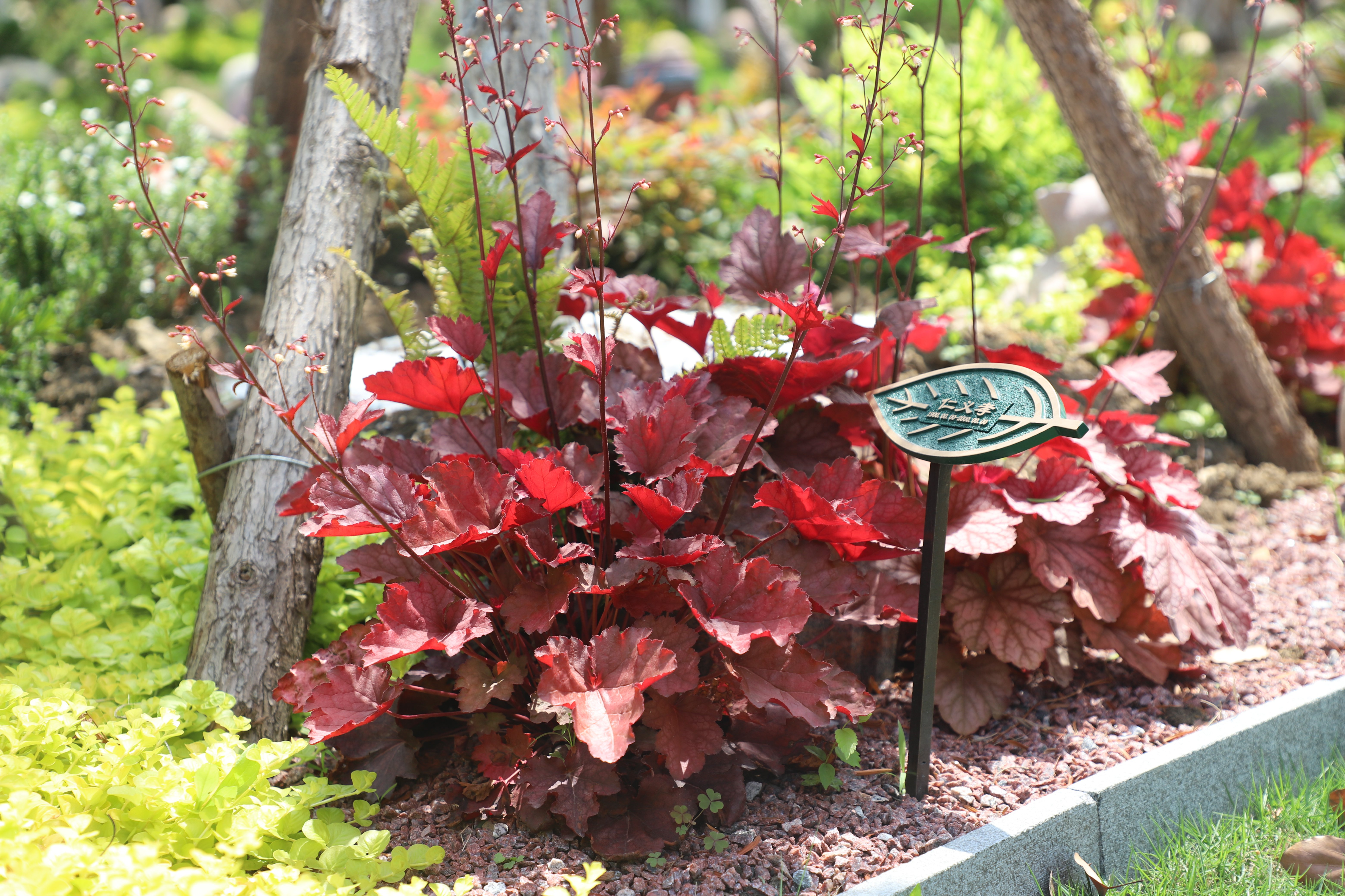 人生就是搏(中国集团)官方网站