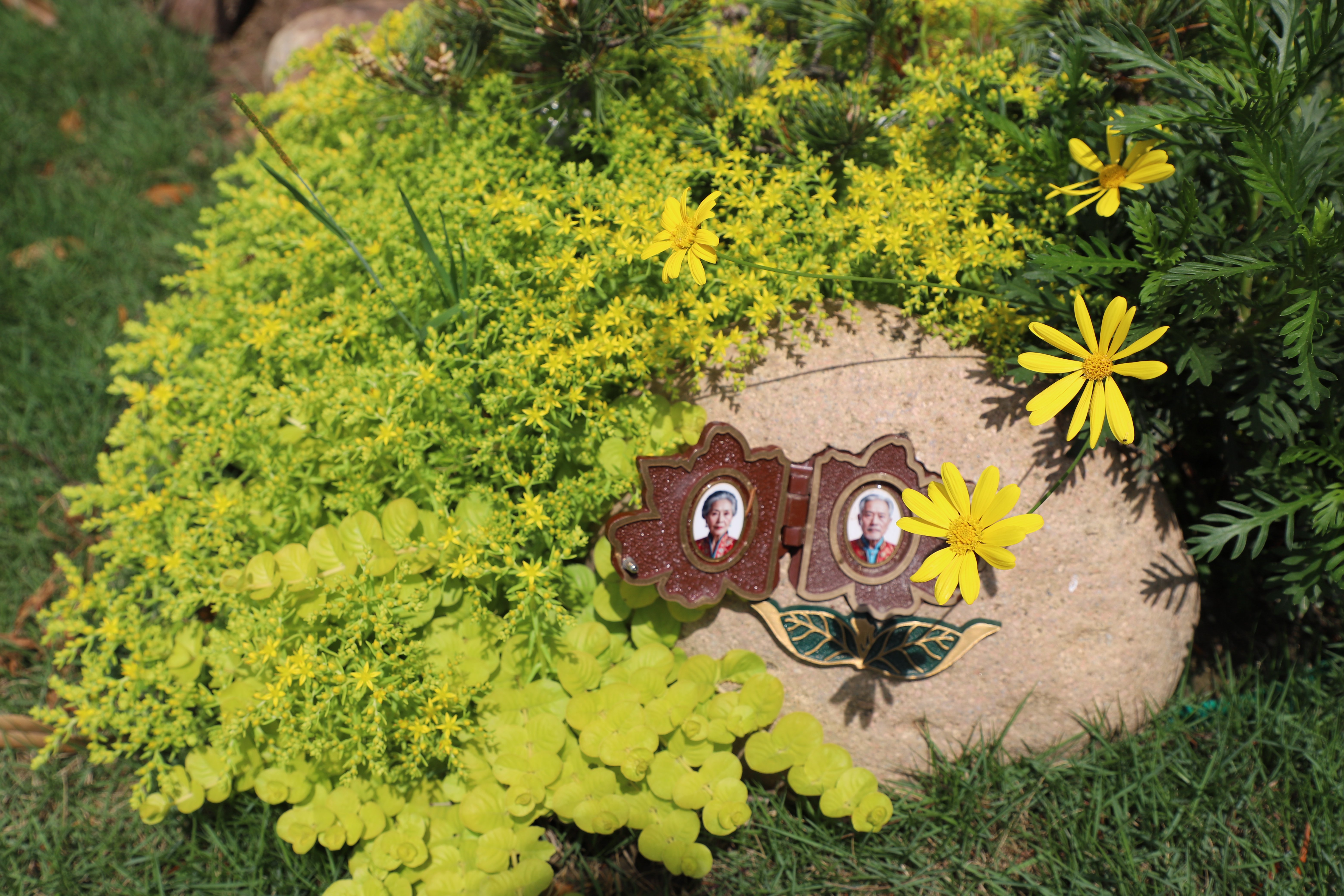 人生就是搏(中国集团)官方网站