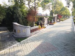 城市最后一平米：：生态葬，是与自然的息争？？照旧无奈的选择？？