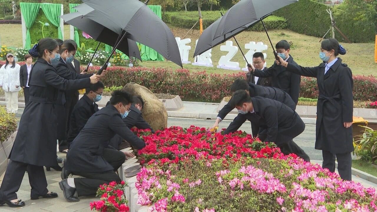 人生就是搏(中国集团)官方网站