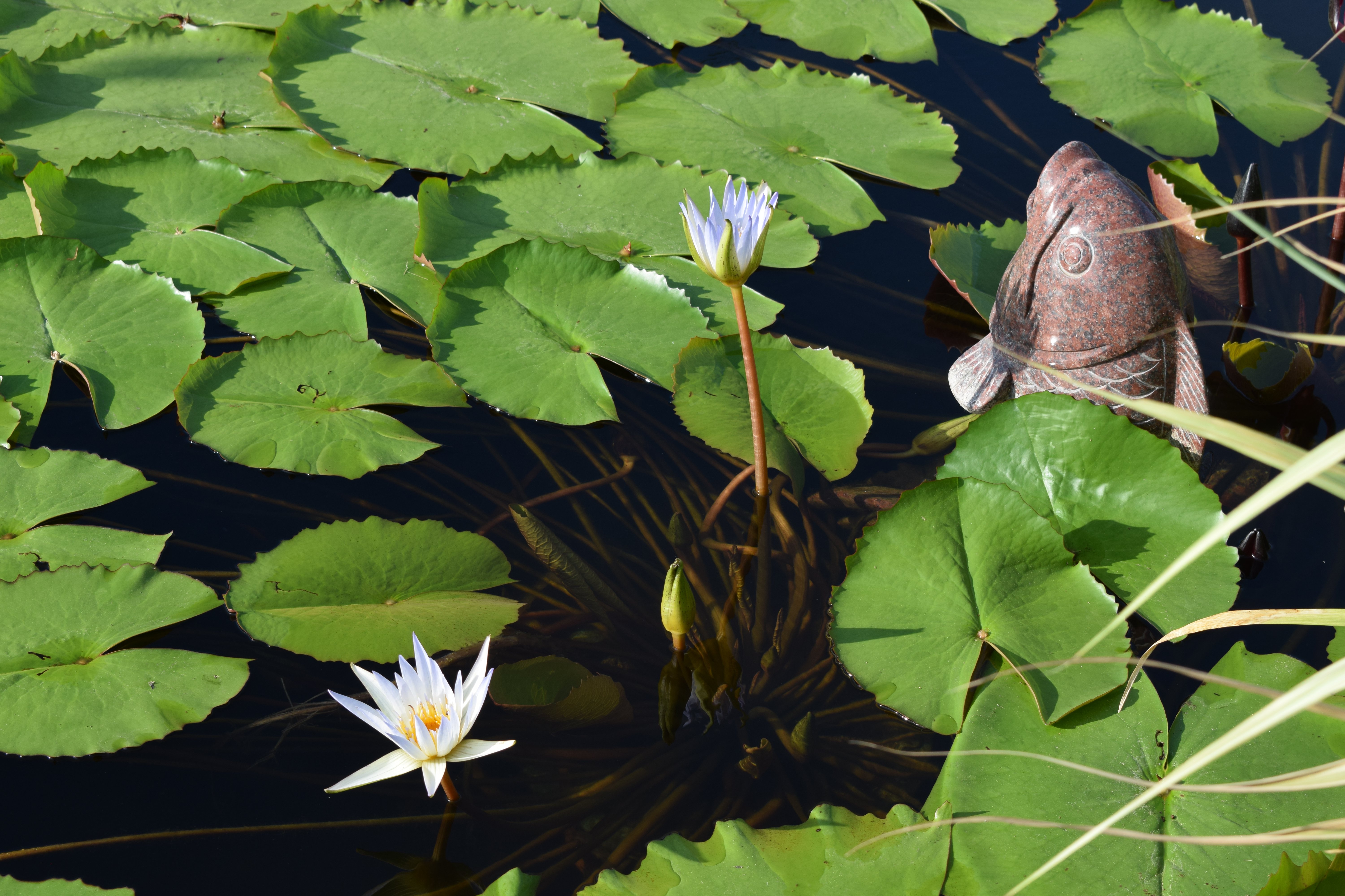 人生就是搏(中国集团)官方网站