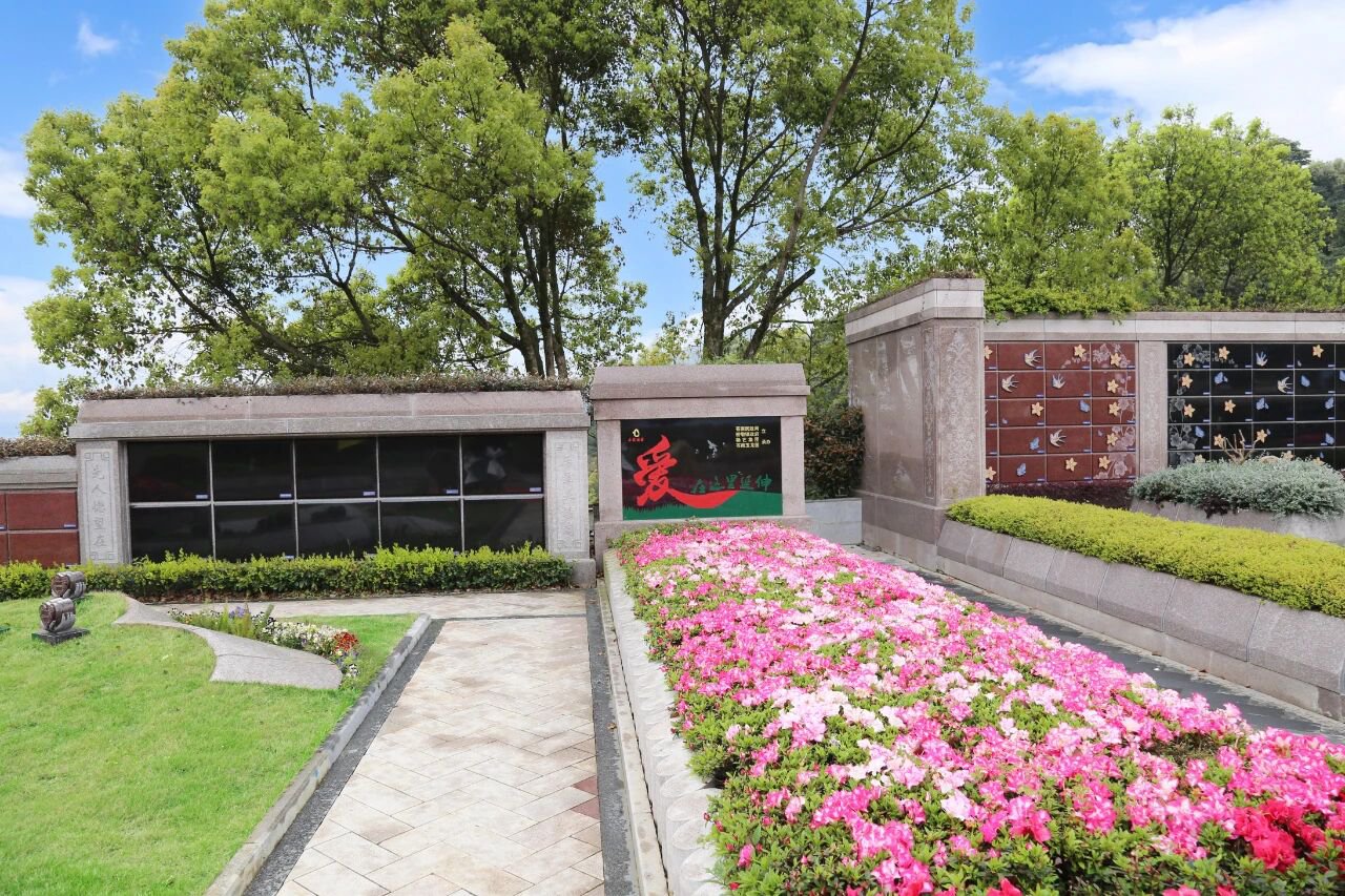 当纪念，，，最先生长