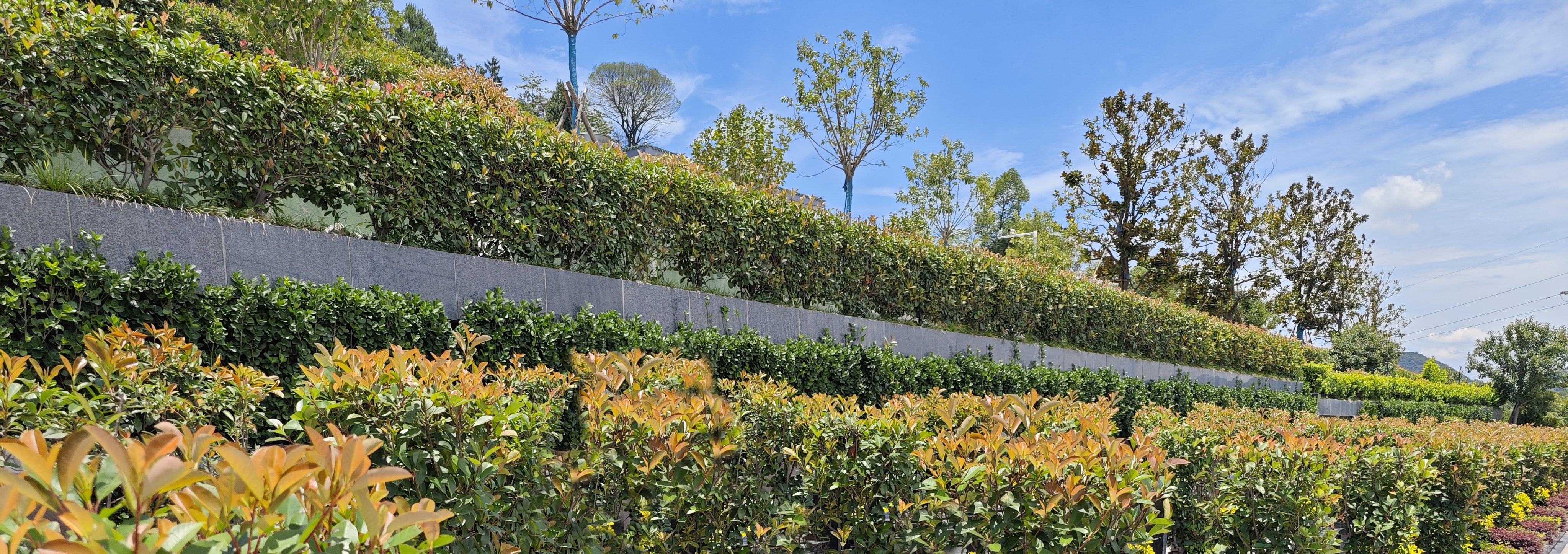 人生就是搏(中国集团)官方网站