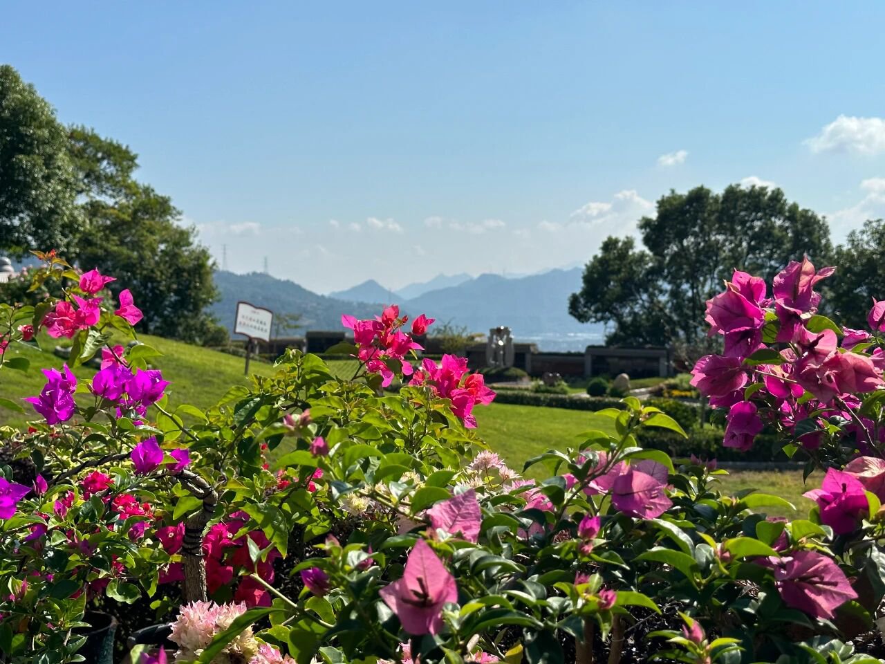 人生就是搏(中国集团)官方网站