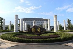 仿真石；；は：：以科技重塑墓葬的“绿色方舟”