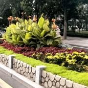 无机仿真石花箱：：以永恒之名，，塑未来之境