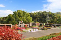 城市角落的星河：：当墓园成为生命的另一种花园