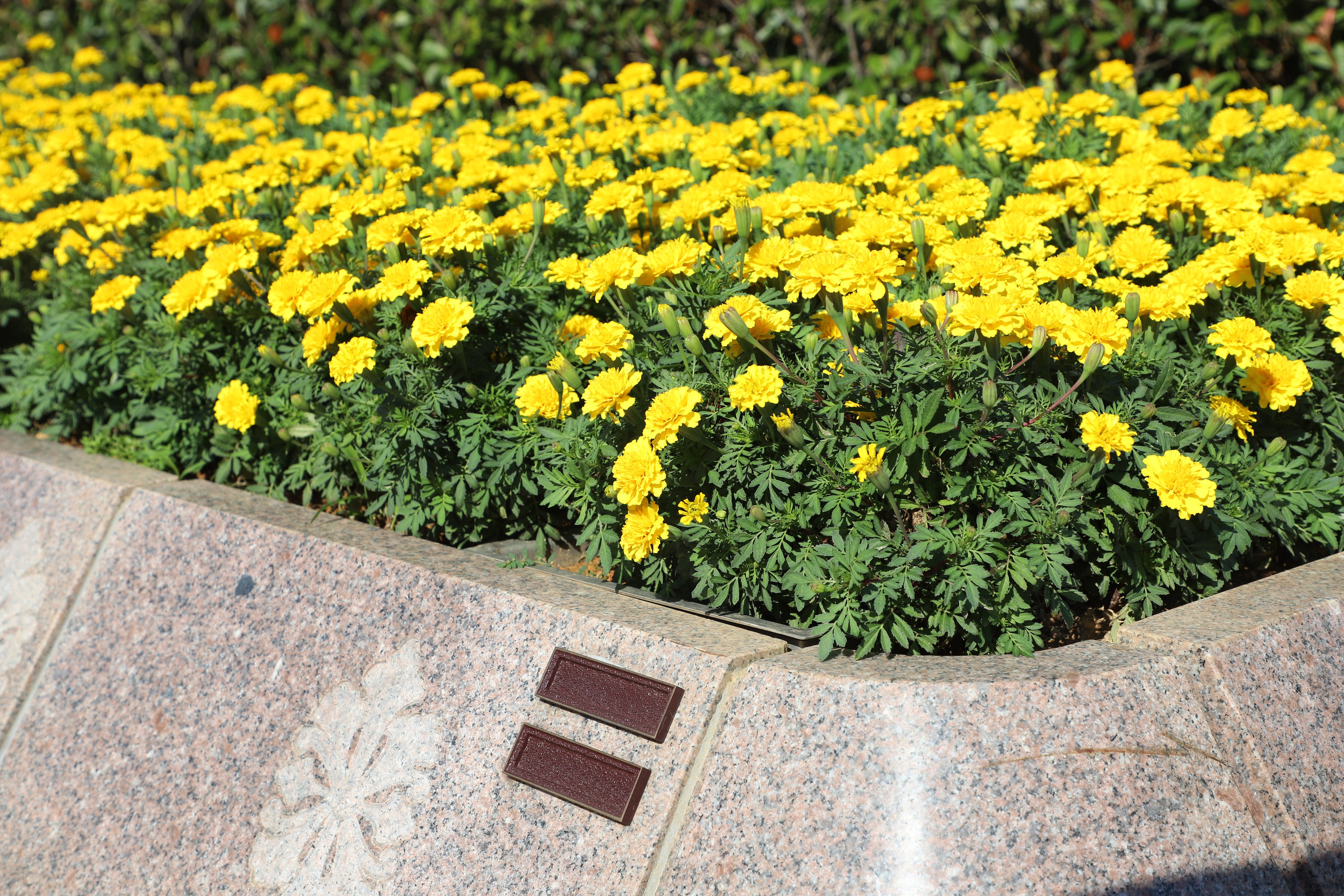 人生就是搏(中国集团)官方网站