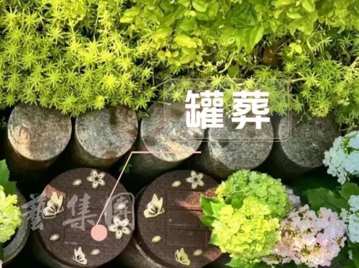 1-260R1143250303 人生就是搏(中国集团)官方网站