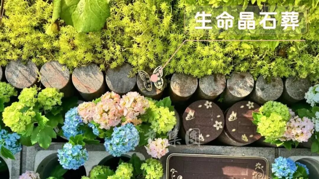 1-260R1143316435 人生就是搏(中国集团)官方网站